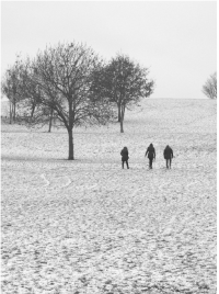 Jessel Green